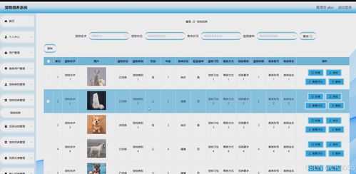 springboot计算机毕业设计宠物领养系统 程序 源码 数据库