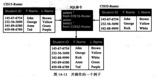 数据库与计算机网络服务 计算机科学导论第十四章核心解析